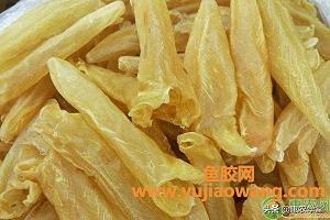 黃花膠多少錢一斤